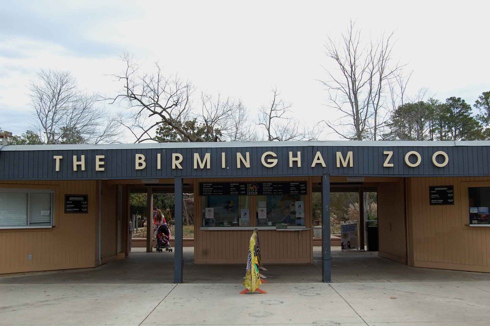 birmingham-zoo-offers-free-admission-to-active-retired-military