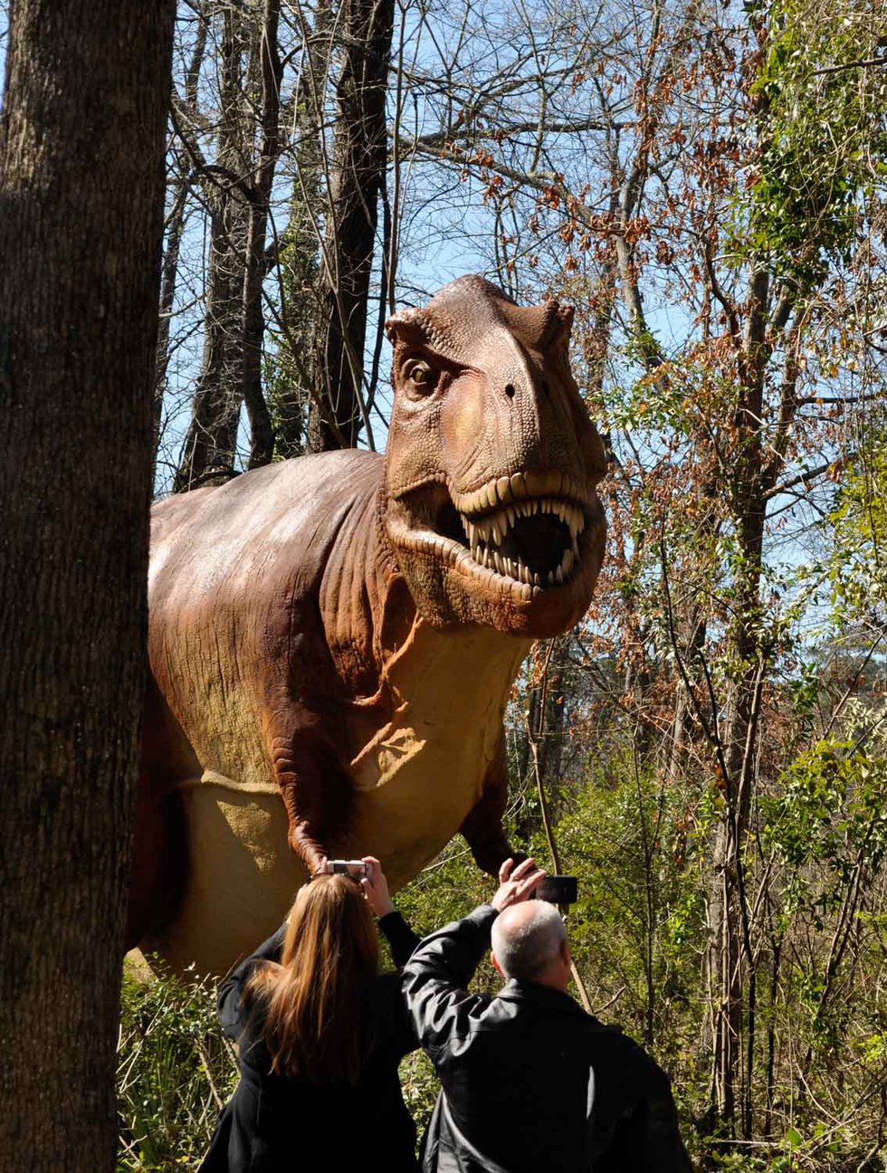 Birmingham Zoo opens dinosaur exhibit