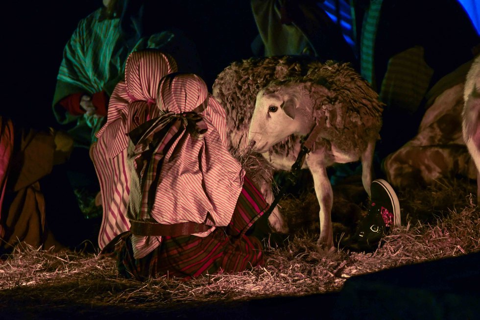 241221_Mountain Brook Nativity_CM-16.jpg