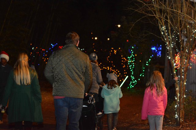 Zoolight Safari Draws Thousands To Birmingham Zoo Villagelivingonline Com